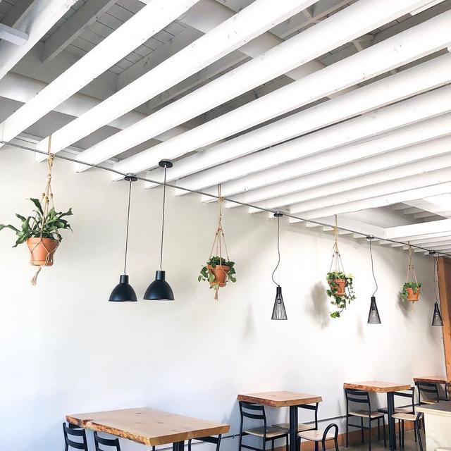 Square 1 Coffee Th3rdwave Edmonton