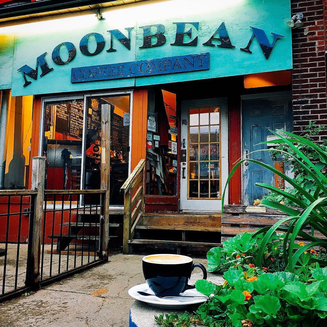 Moonbean Coffee Company Th3rdwave Toronto