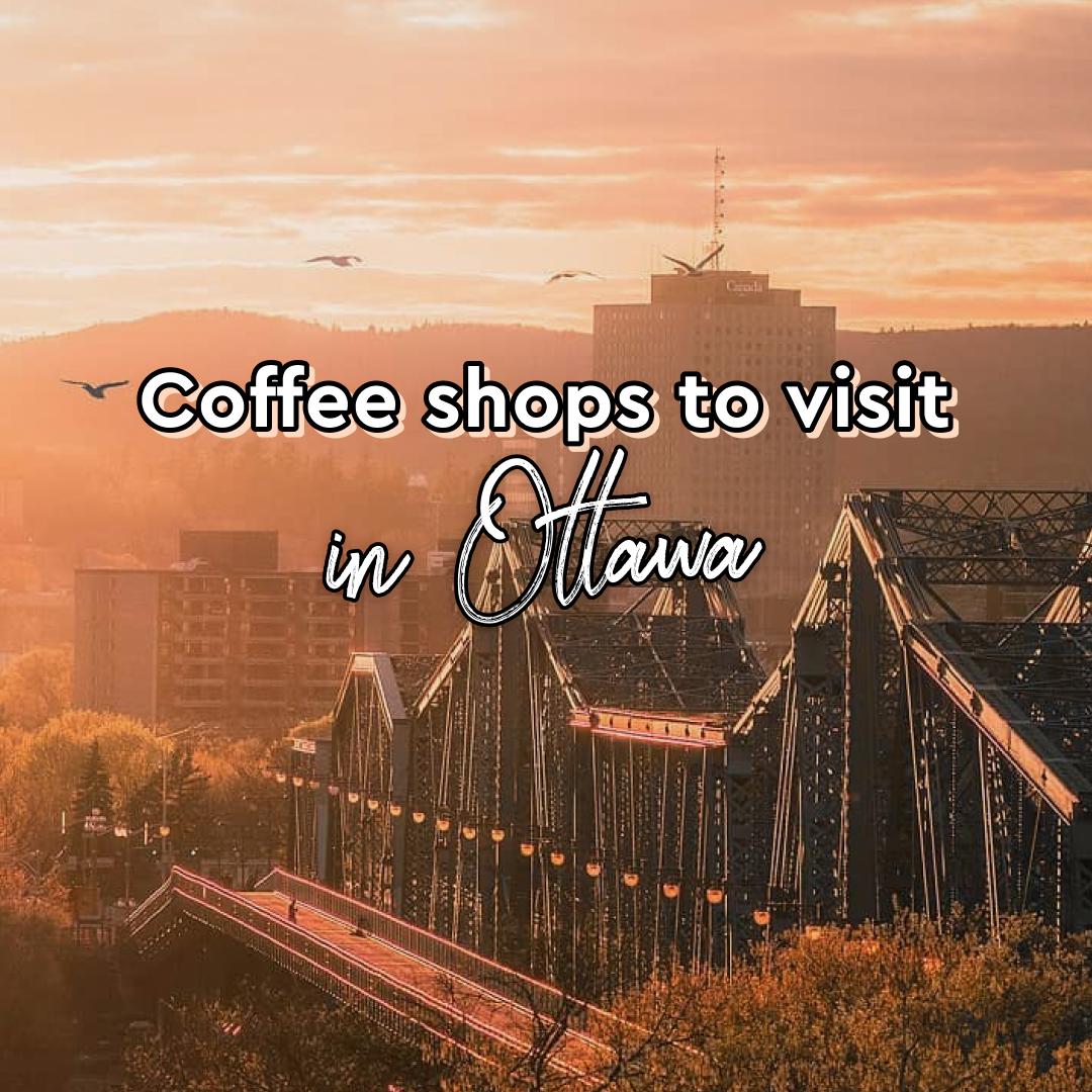 Coffee shops to visit in Ottawa Th3rdwave