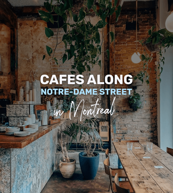 Cover of Cafes along Notre-Dame street in Montreal