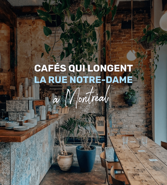Cover of Les cafés qui longent la rue Notre-Dame à Montréal