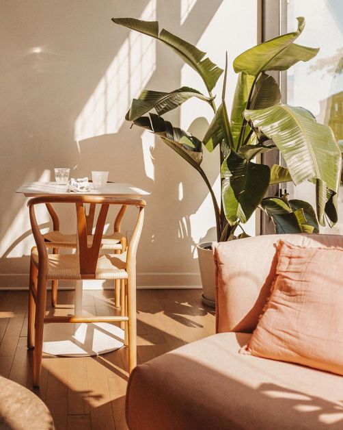 Les cafés les plus cosy de Verdun Th3rdwave