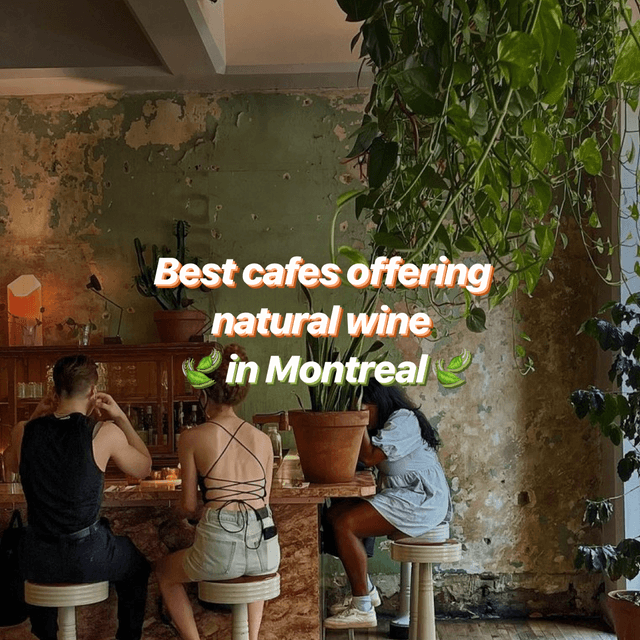 Cover of Best cafes offering natural wine in Montreal