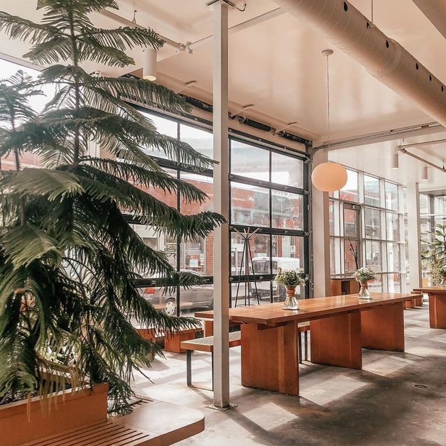 The best cafés to visit when you are in Quebec City Th3rdwave