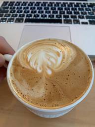 Endroit chaleureux et idéal pour un bon café et de la productivité 🦾