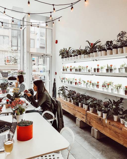 Cover of 12 vegan cafes to discover in Montreal 🍃