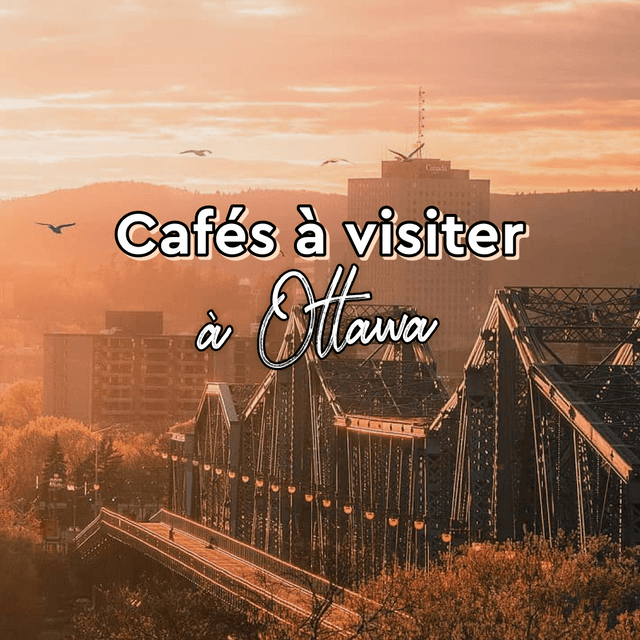 Cover of Cafés à visiter à Ottawa