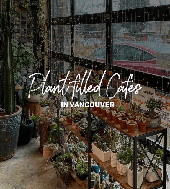 Cover of 6 plant-filled cafes in Vancouver