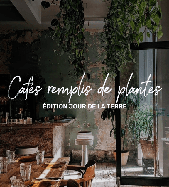 Cover of Les plus beaux cafés remplis de plantes à Montreal 🌿🍃