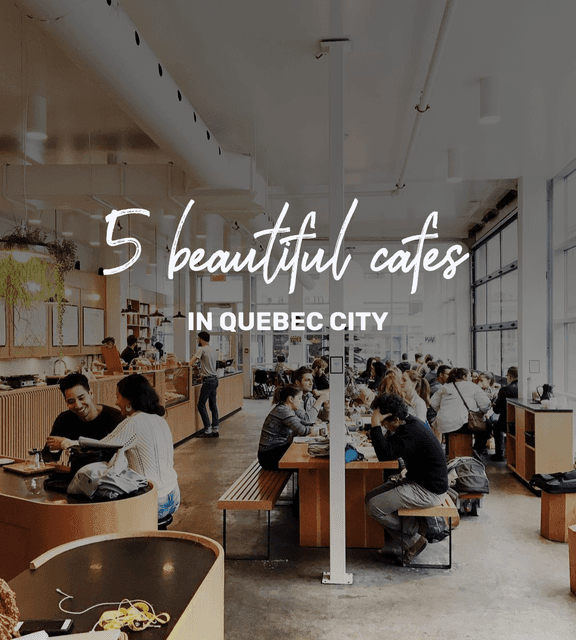 Cover of 5 of the most beautiful cafes in Quebec where you can have a good coffee