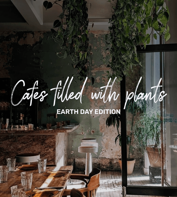 Cover of The Most Beautiful Cafes Filled With Plants In Montreal 🌿🍃